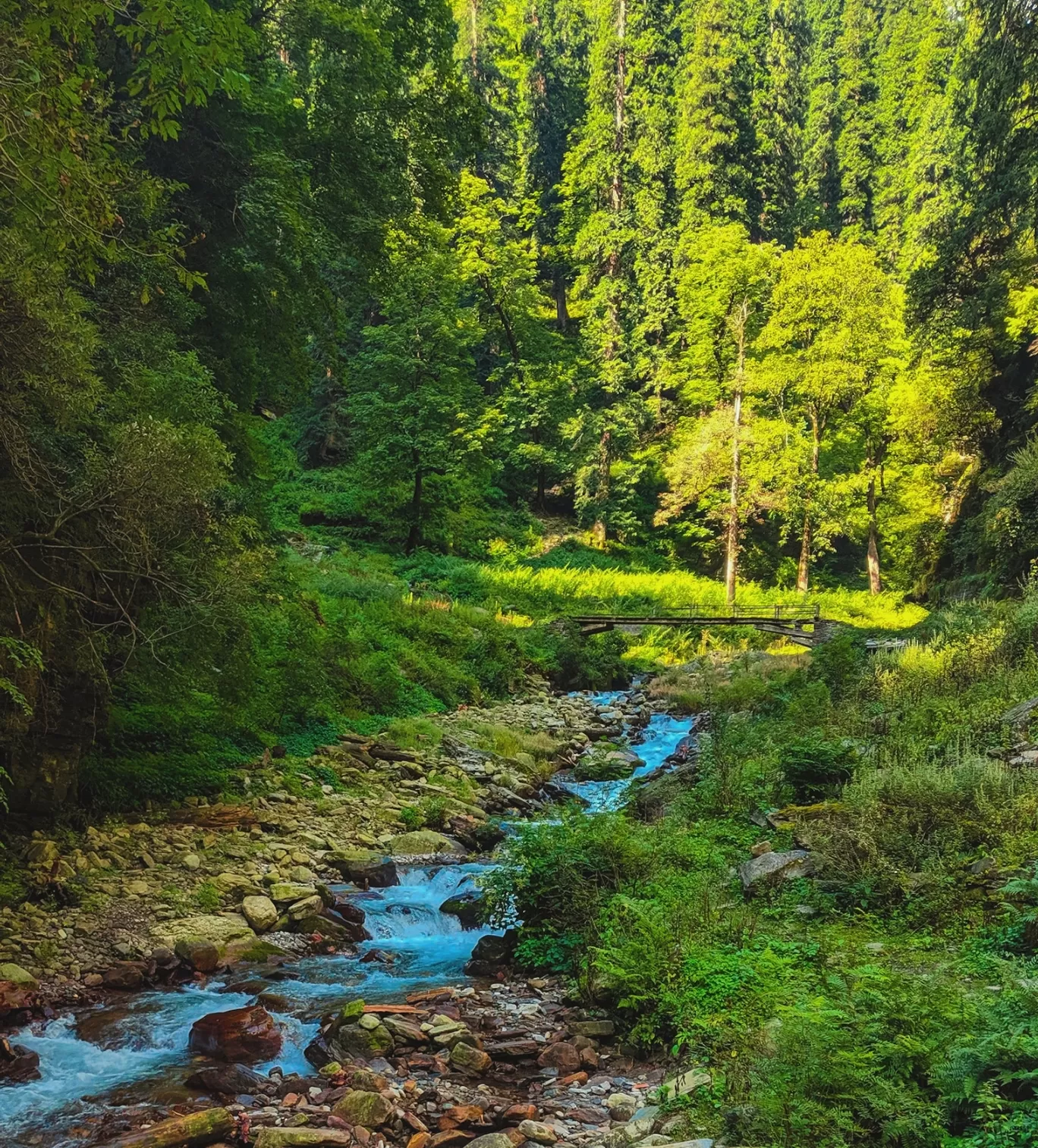 Photo of Jiskun By Anshul Gusain
