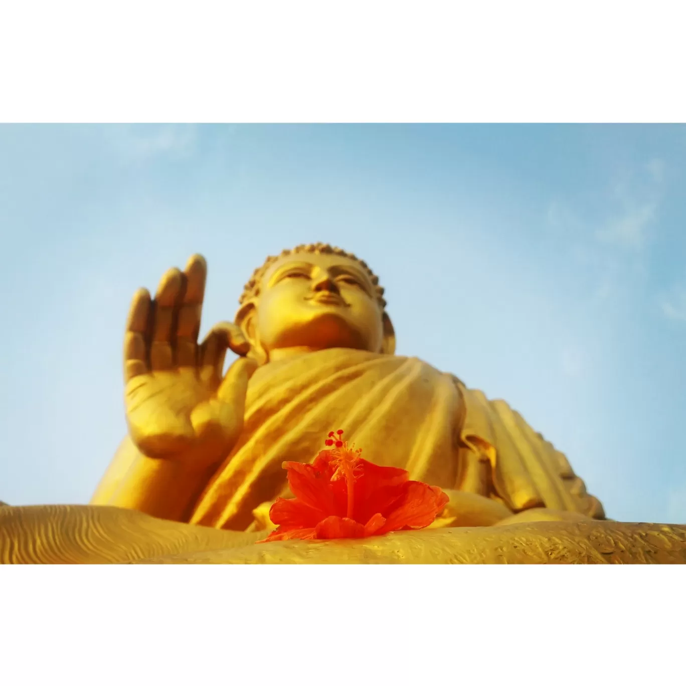 Photo of Buddha International Welfare Mission By Rahul Biswas
