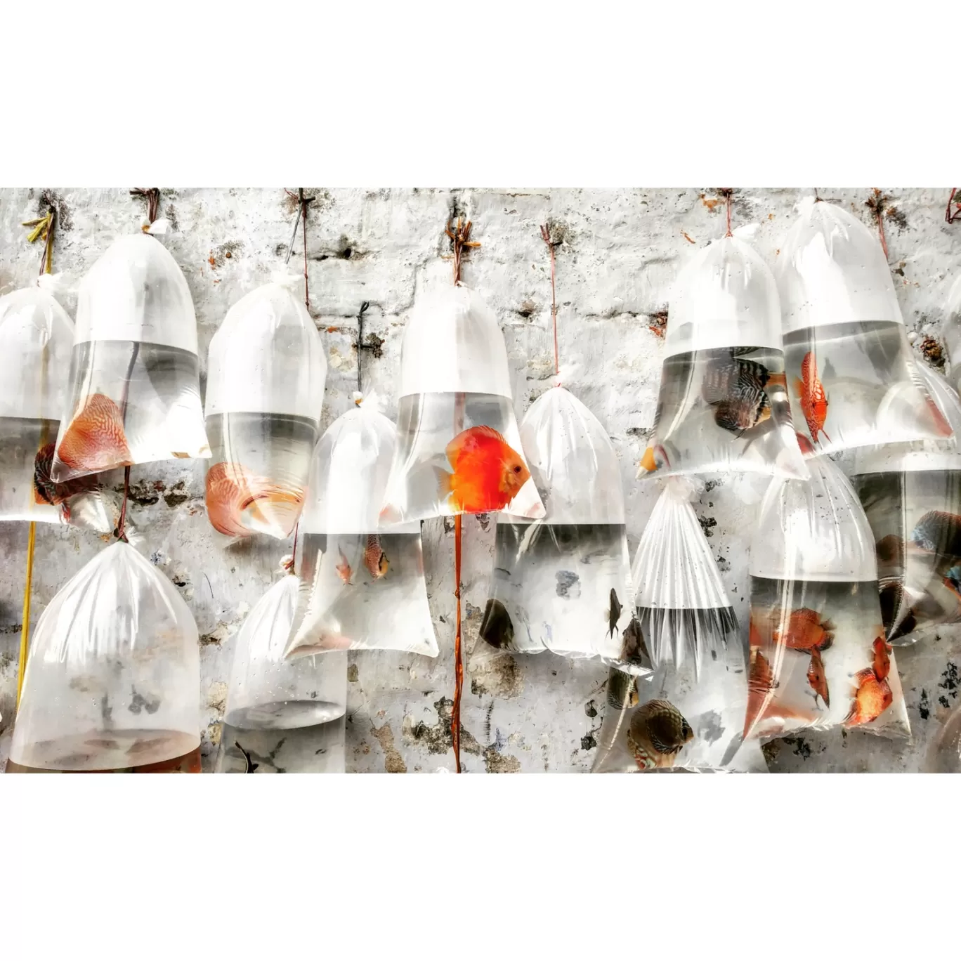 Photo of Galiff Street By Rahul Biswas
