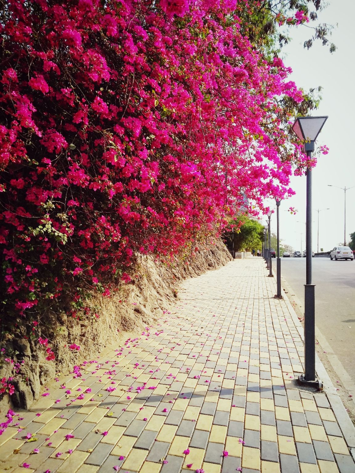 Photo of SB Road By Gauree Gandhi