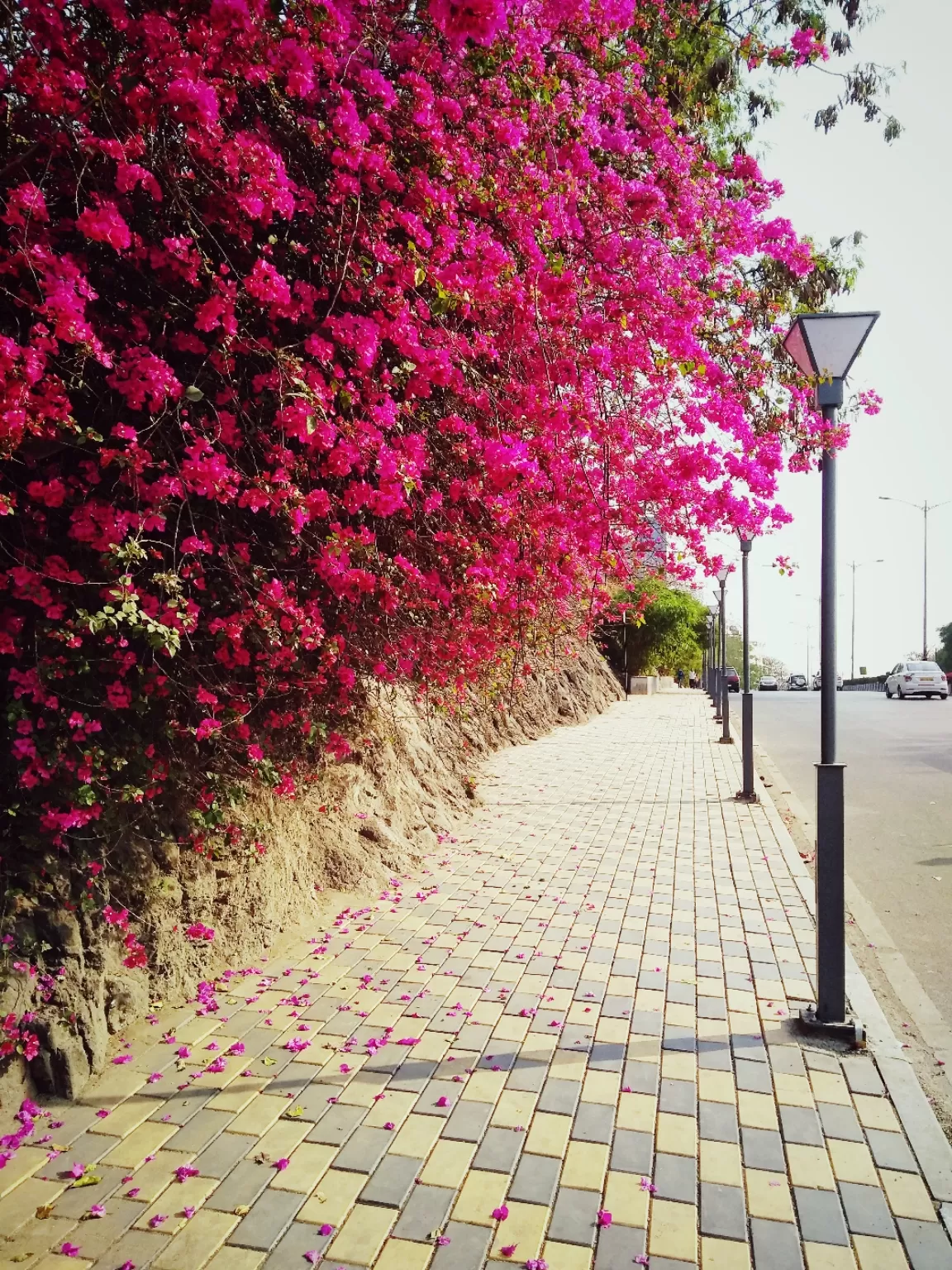 Photo of SB Road By Gauree Gandhi