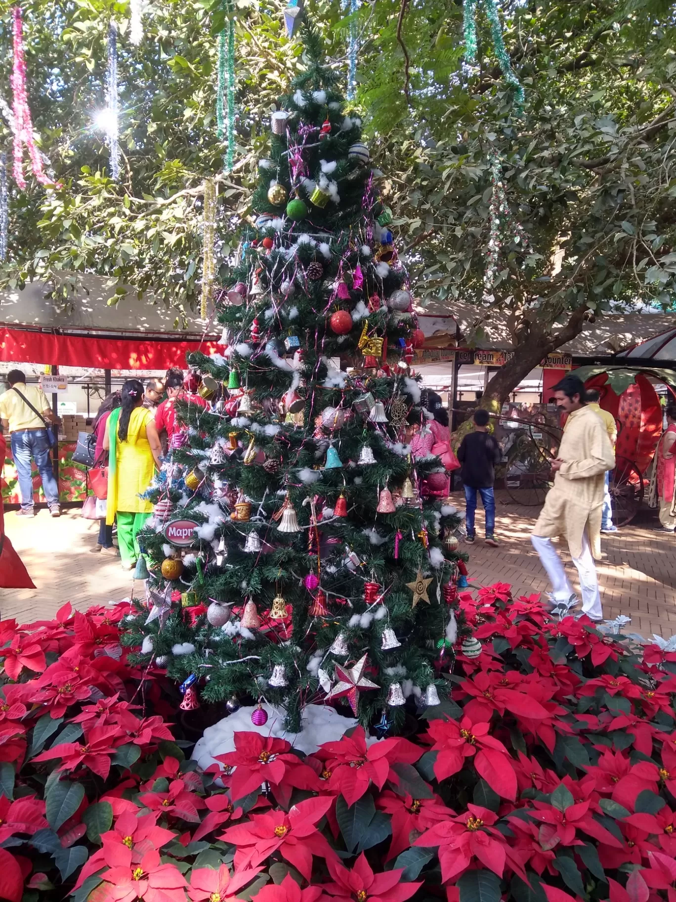 Photo of Mahabaleshwar By Gauree Gandhi