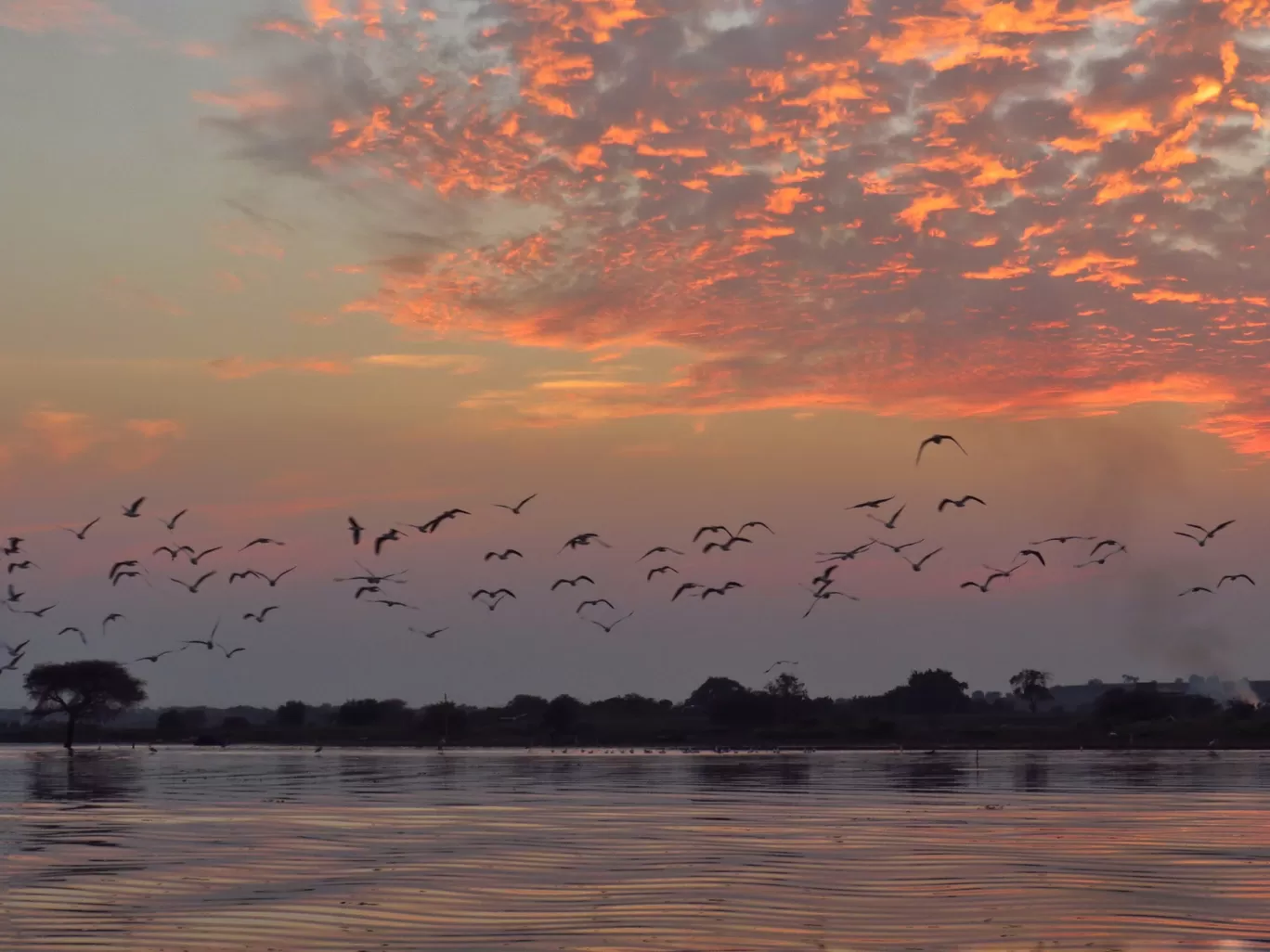 Photo of Bhigwan bird sanctuary By Gauree Gandhi