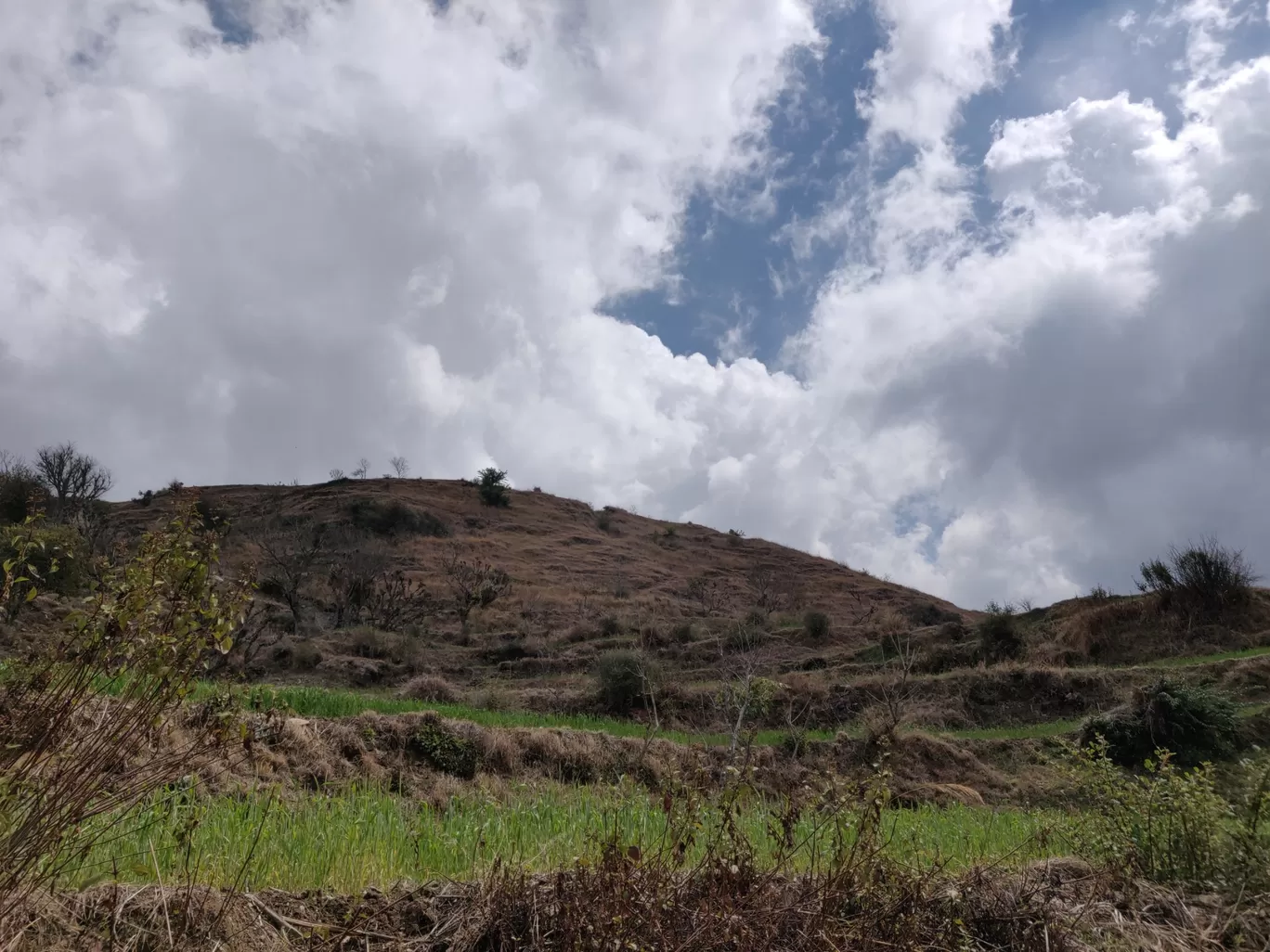 Photo of Nag Tibba Trek By Ashish Nety