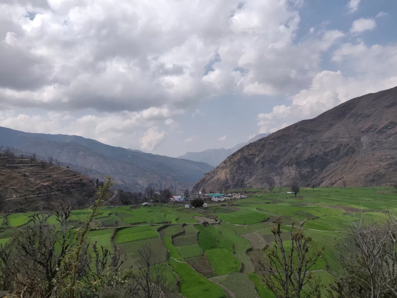 Photo of Nag Tibba Trek By Ashish Nety