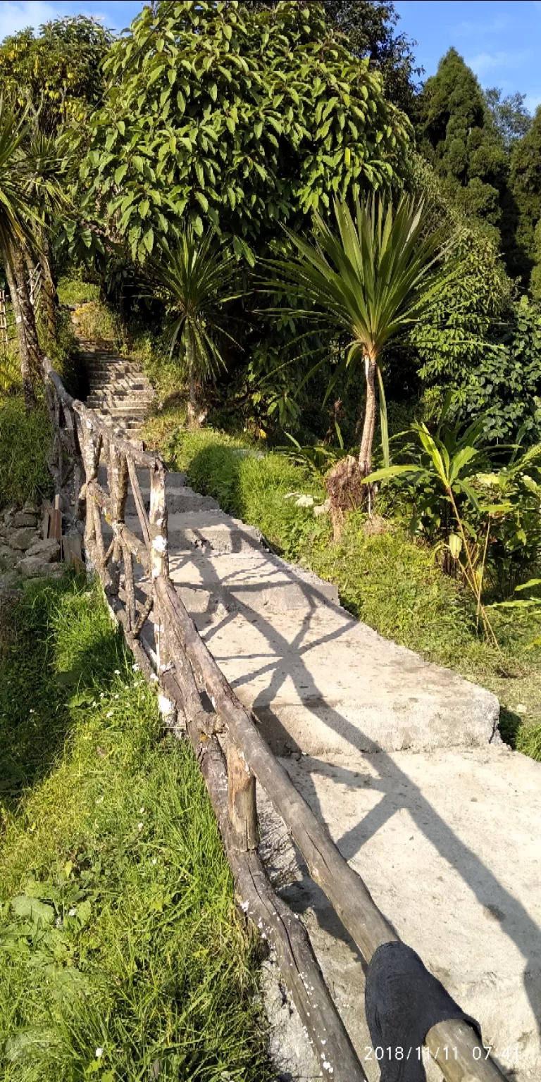 Photo of Sandakphu By Bhagwati Lakhwani