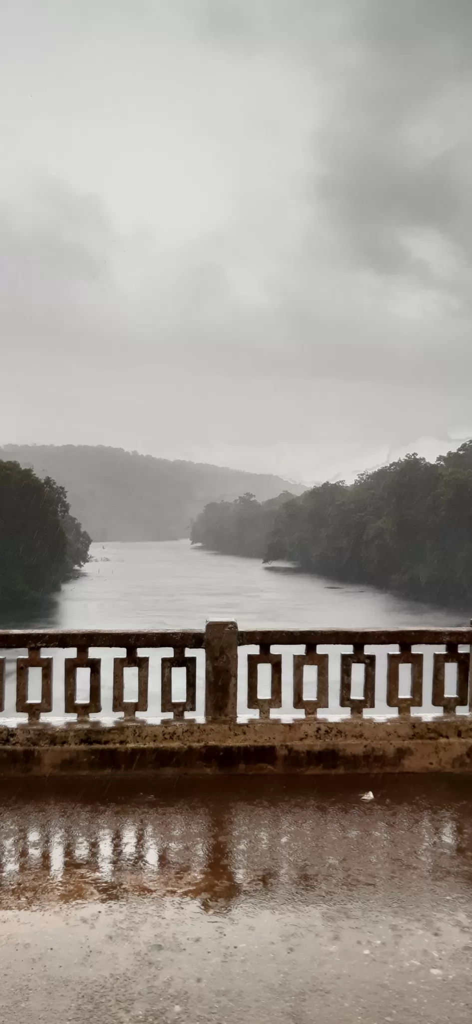 Photo of Dandeli By Anusha bheemaiah