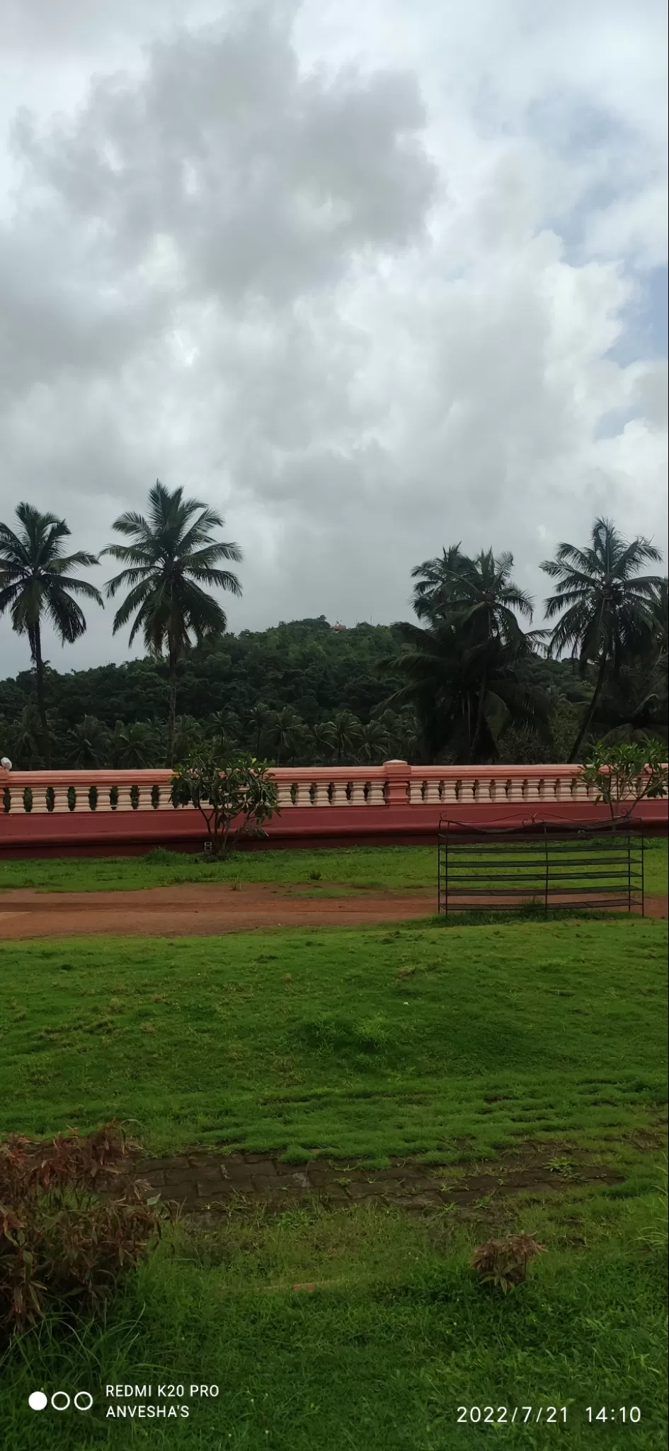 Photo of Ponda By Dr. Anvesha Datta