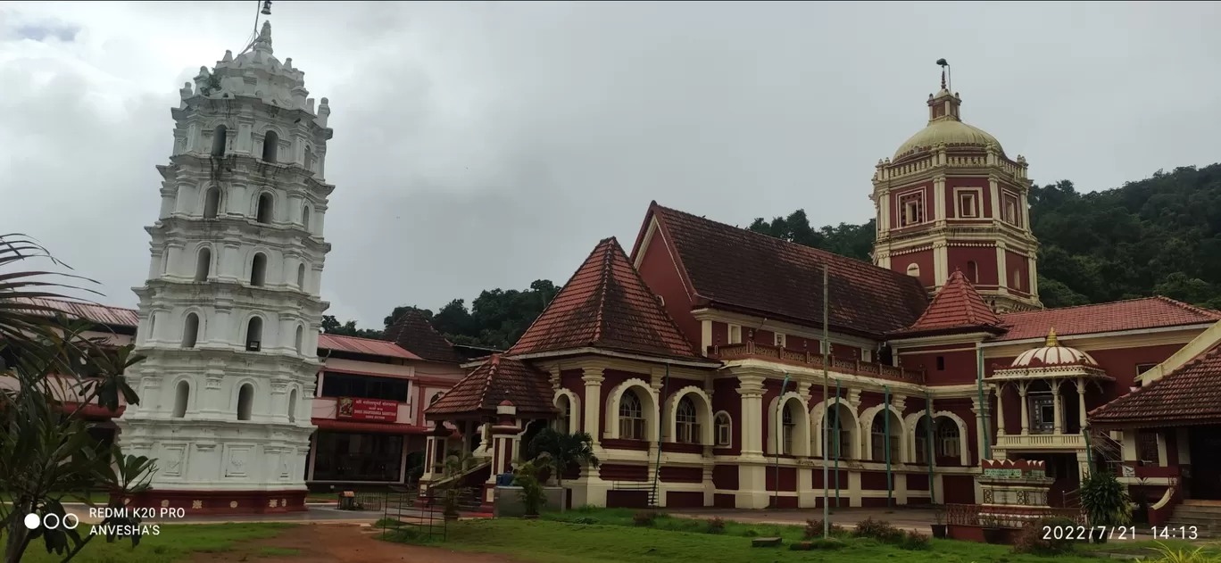 Photo of Ponda By Dr. Anvesha Datta