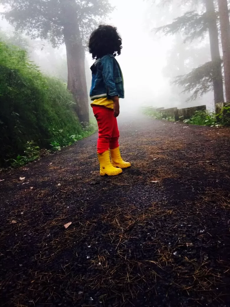 Photo of Shimla By Sanju Malhotra