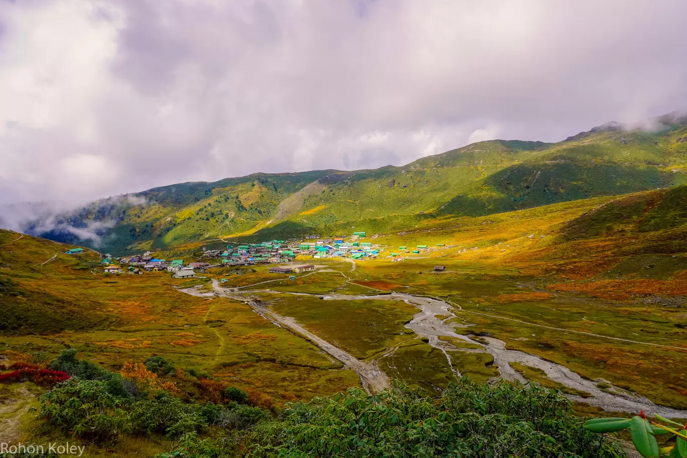 Photo of Zuluk By Rohon Koley 