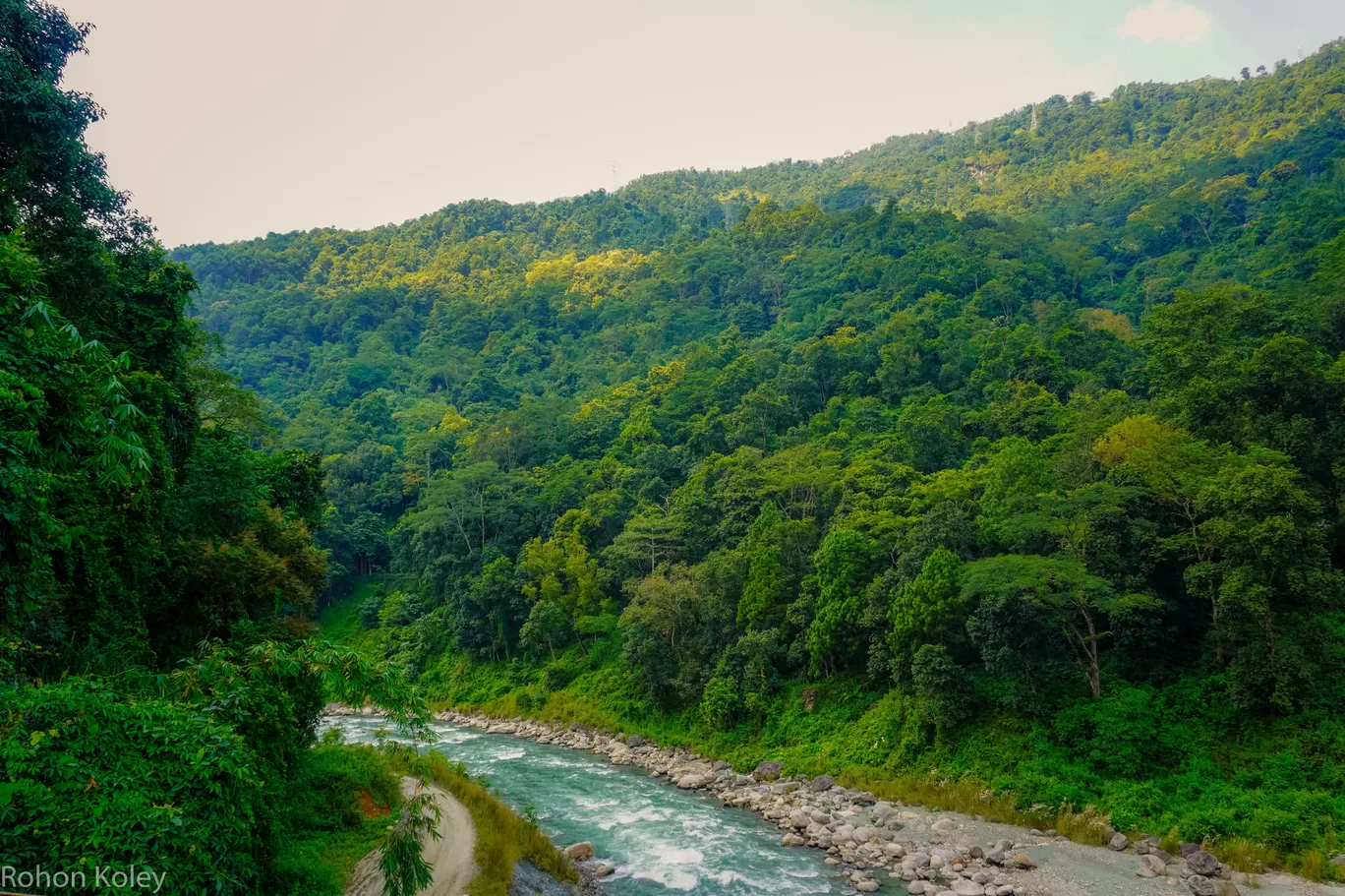 Photo of Zuluk By Rohon Koley 