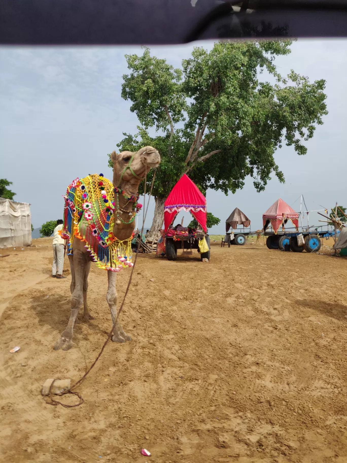 Photo of Rajasthan Diaries #Rajasthaninphotos By Sakshi Mittal