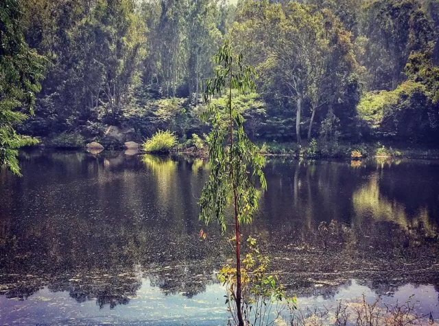 Photo of Horsley Hills By Dathathreya S