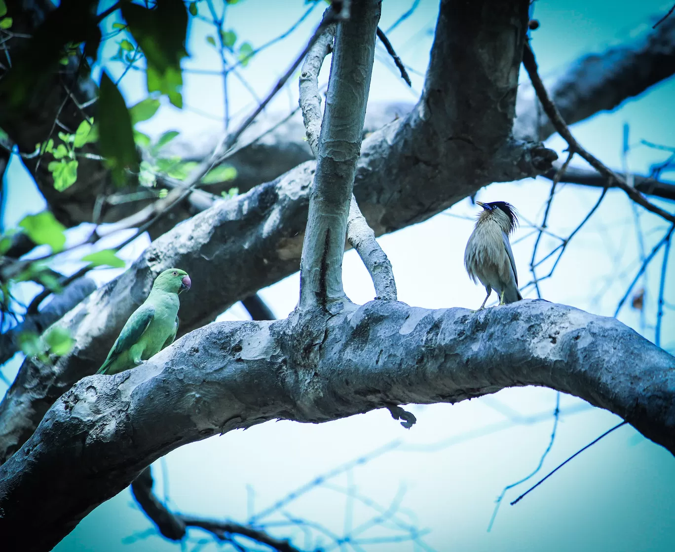 Photo of Bharatpur Bird Sanctuary By Rachit Tandon