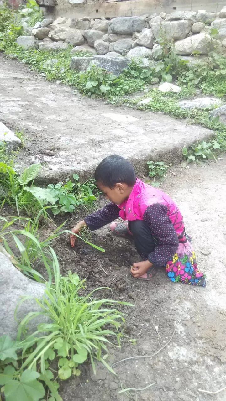 Photo of Himachal Pradesh By Gayatri Jat