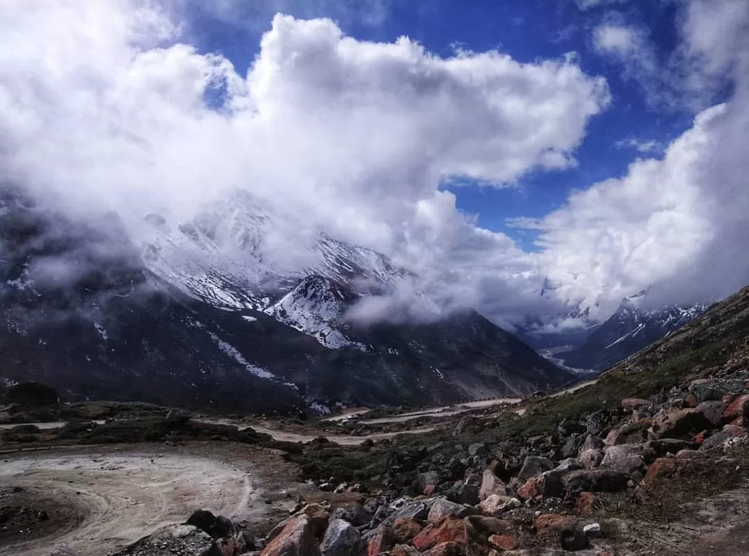 Photo of Yumthang Valley Natural Reserve By oshin dhanwar