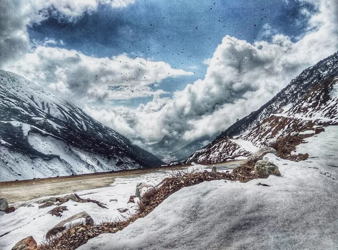 Photo of Yumthang Valley Natural Reserve By oshin dhanwar