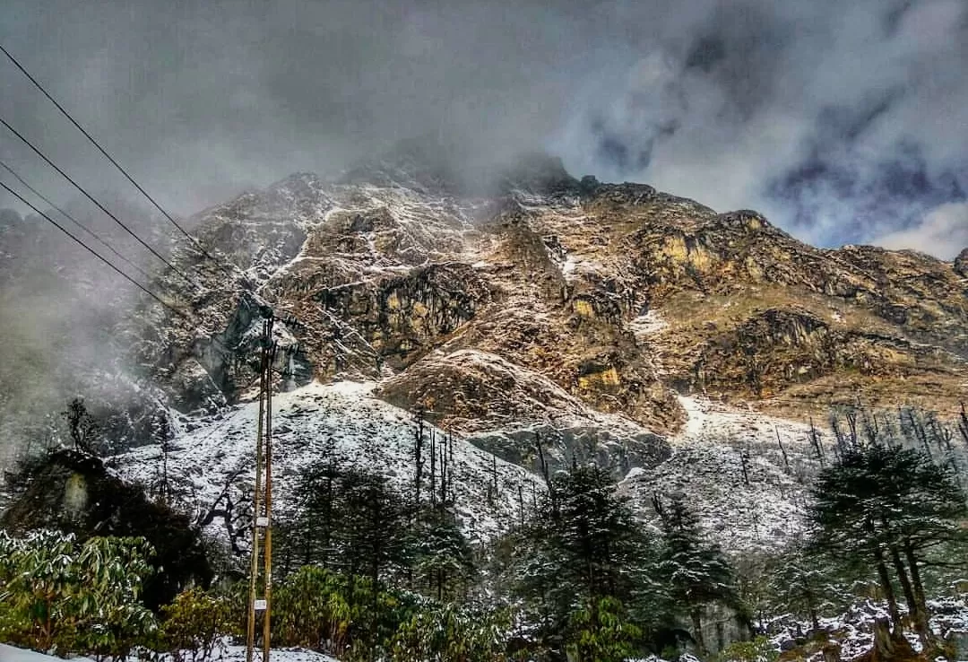Photo of Yumthang Valley Natural Reserve By oshin dhanwar
