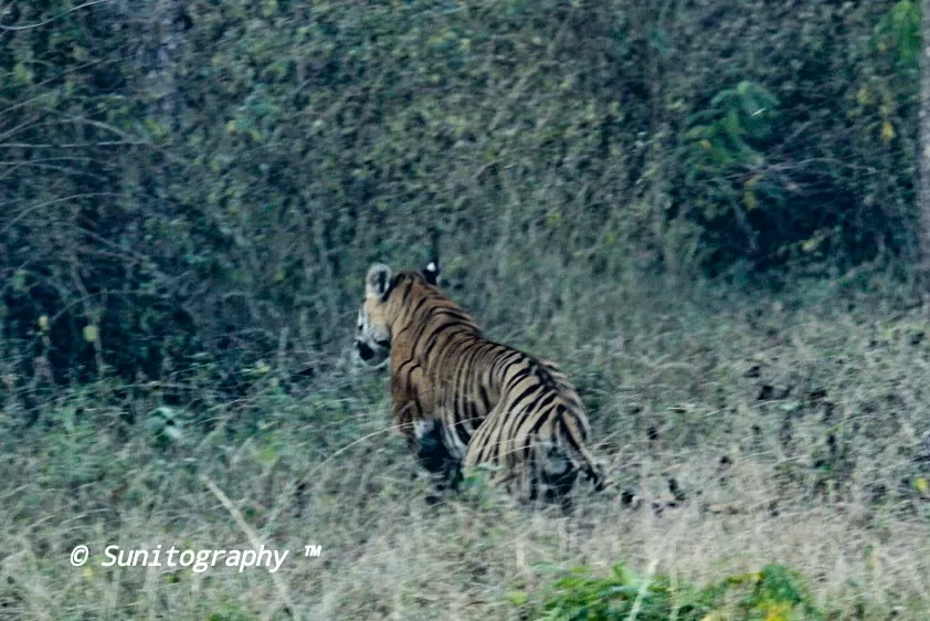 Photo of Nagarhole National Park By Sunit Thakur