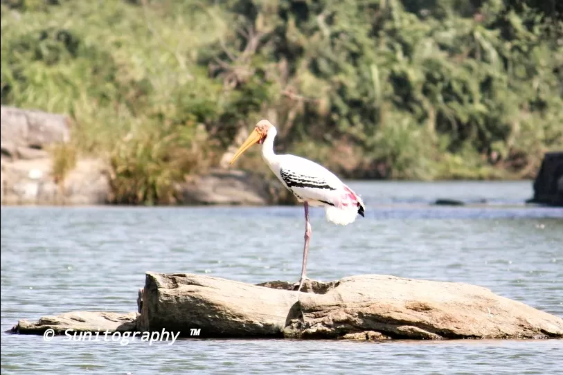 Photo of Nagarhole National Park By Sunit Thakur
