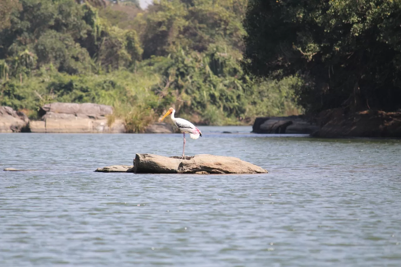 Photo of Nagarhole National Park By Sunit Thakur