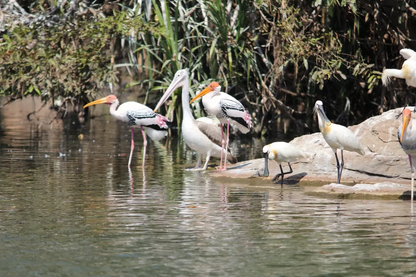 Photo of Nagarhole National Park By Sunit Thakur