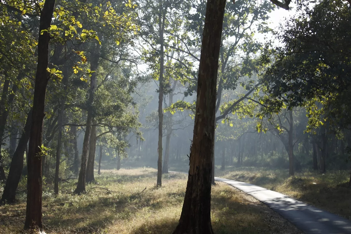 Photo of Nagarhole National Park By Sunit Thakur