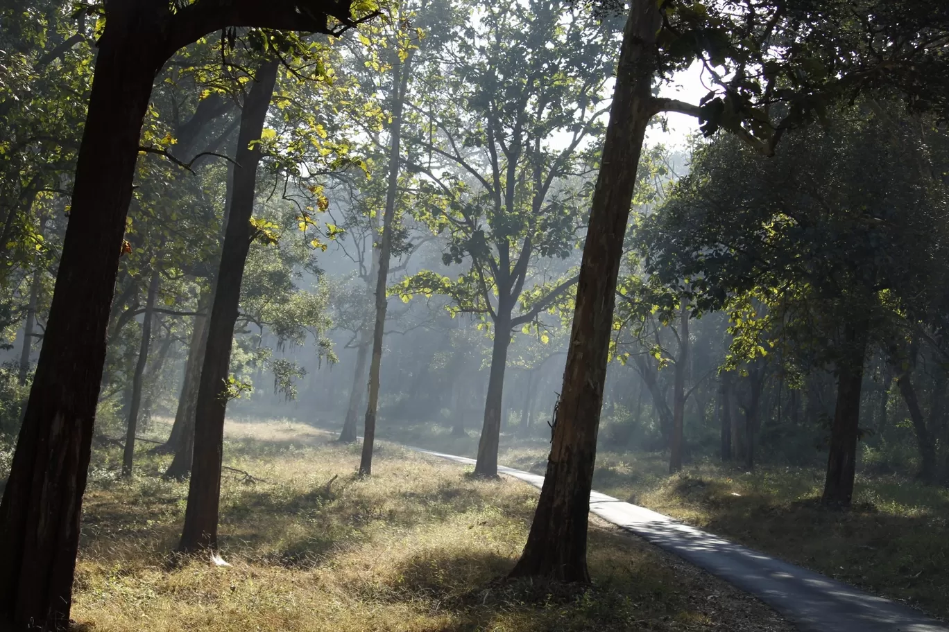 Photo of Nagarhole National Park By Sunit Thakur