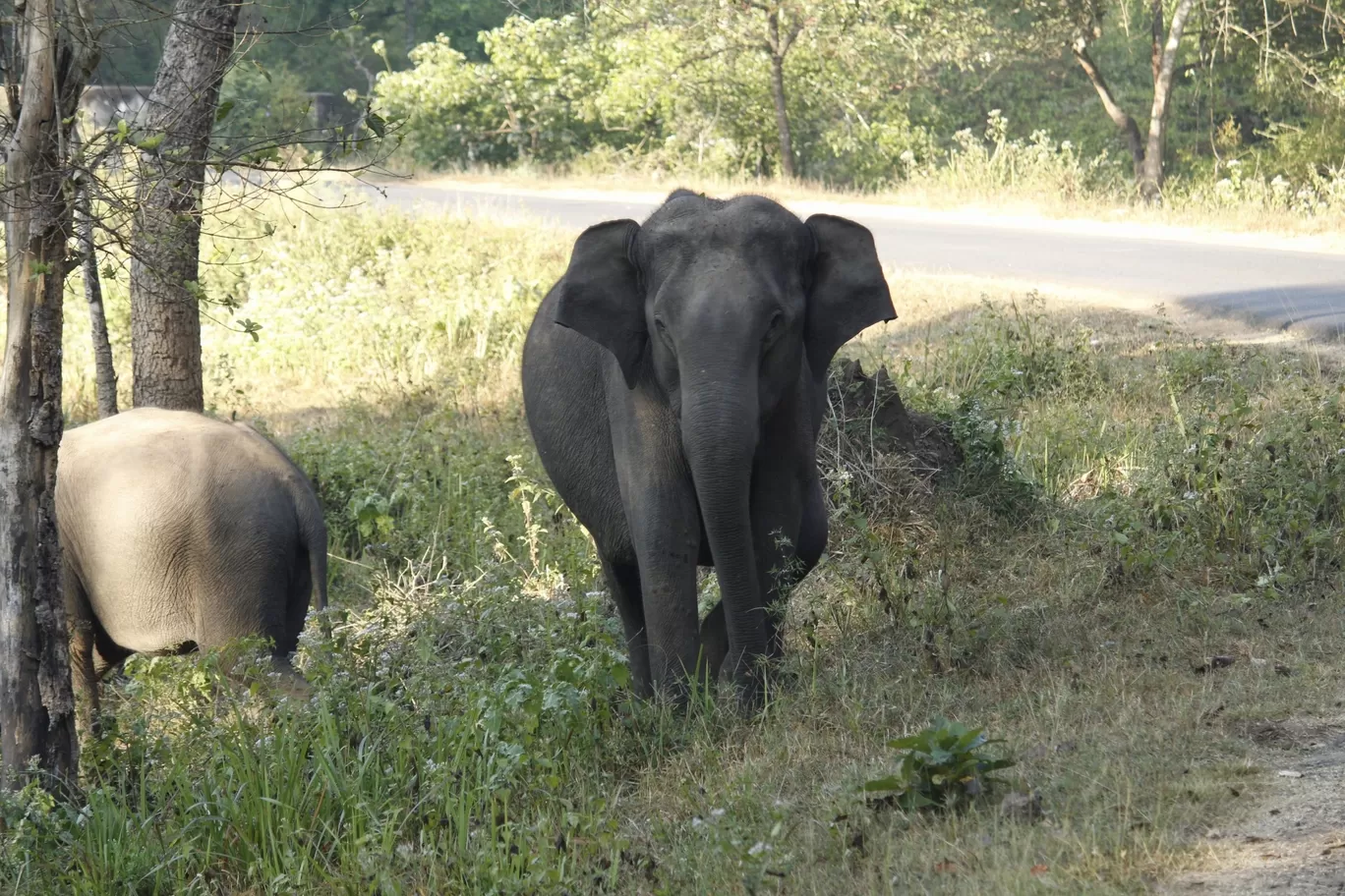 Photo of Nagarhole National Park By Sunit Thakur