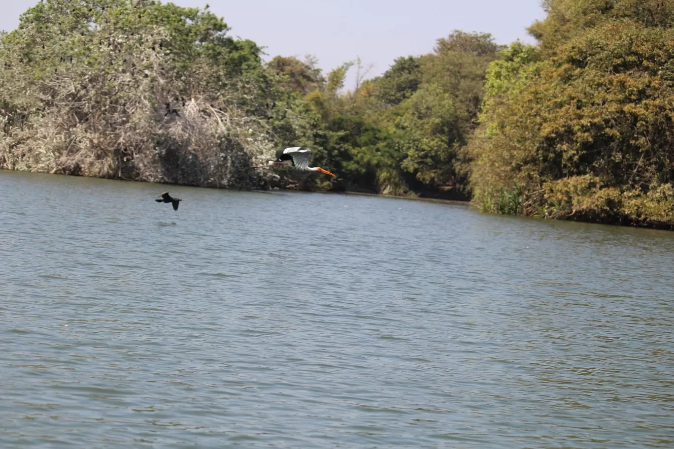 Photo of Nagarhole National Park By Sunit Thakur