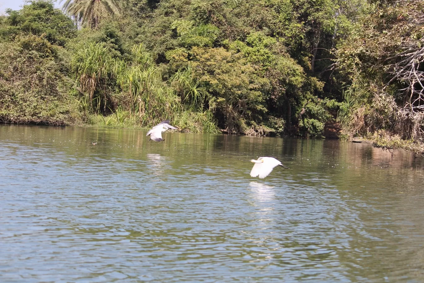 Photo of Nagarhole National Park By Sunit Thakur