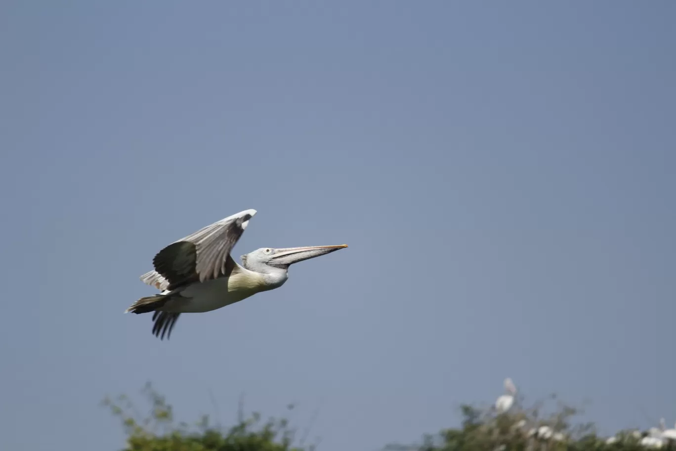 Photo of Nagarhole National Park By Sunit Thakur