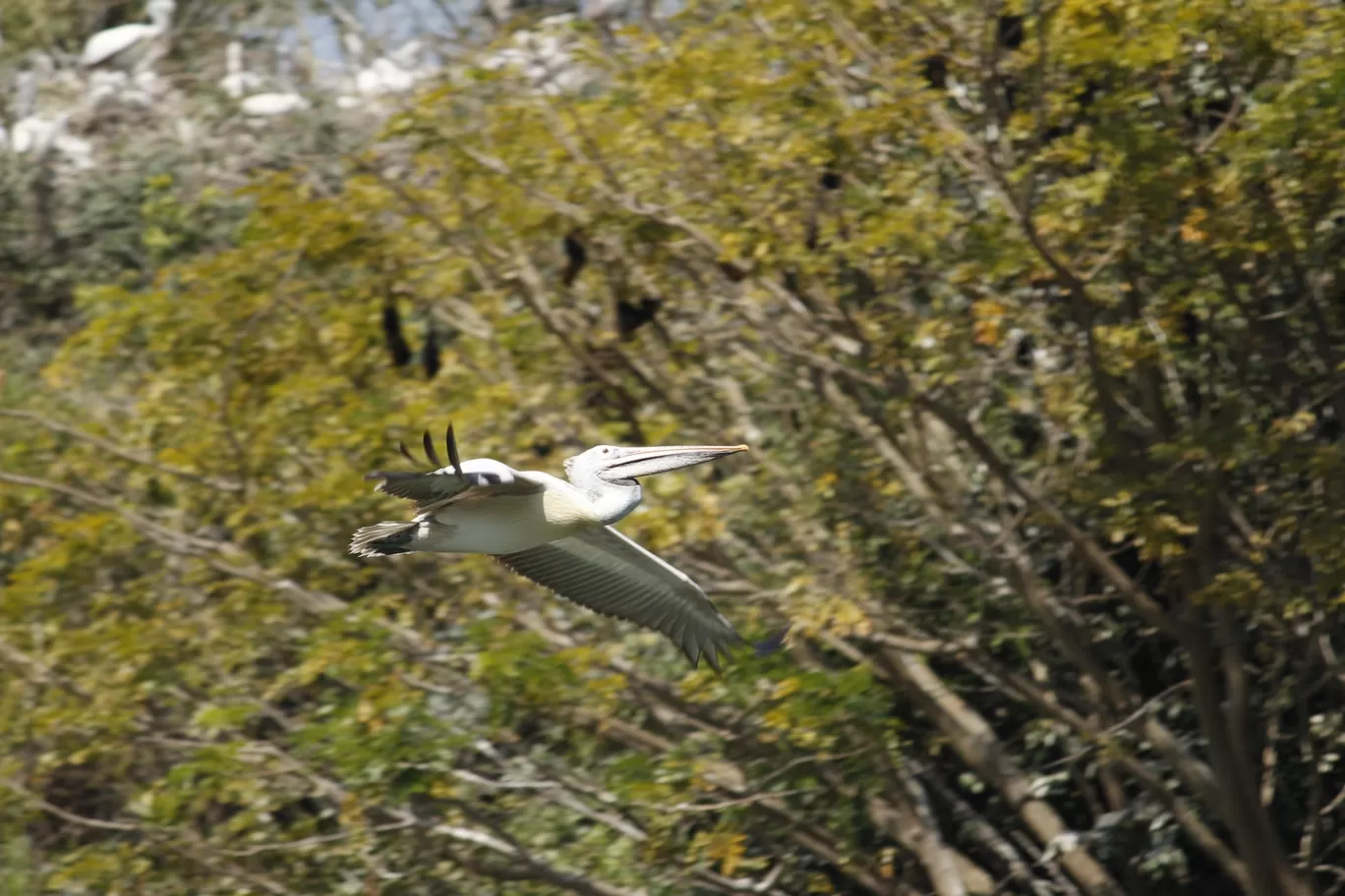 Photo of Nagarhole National Park By Sunit Thakur