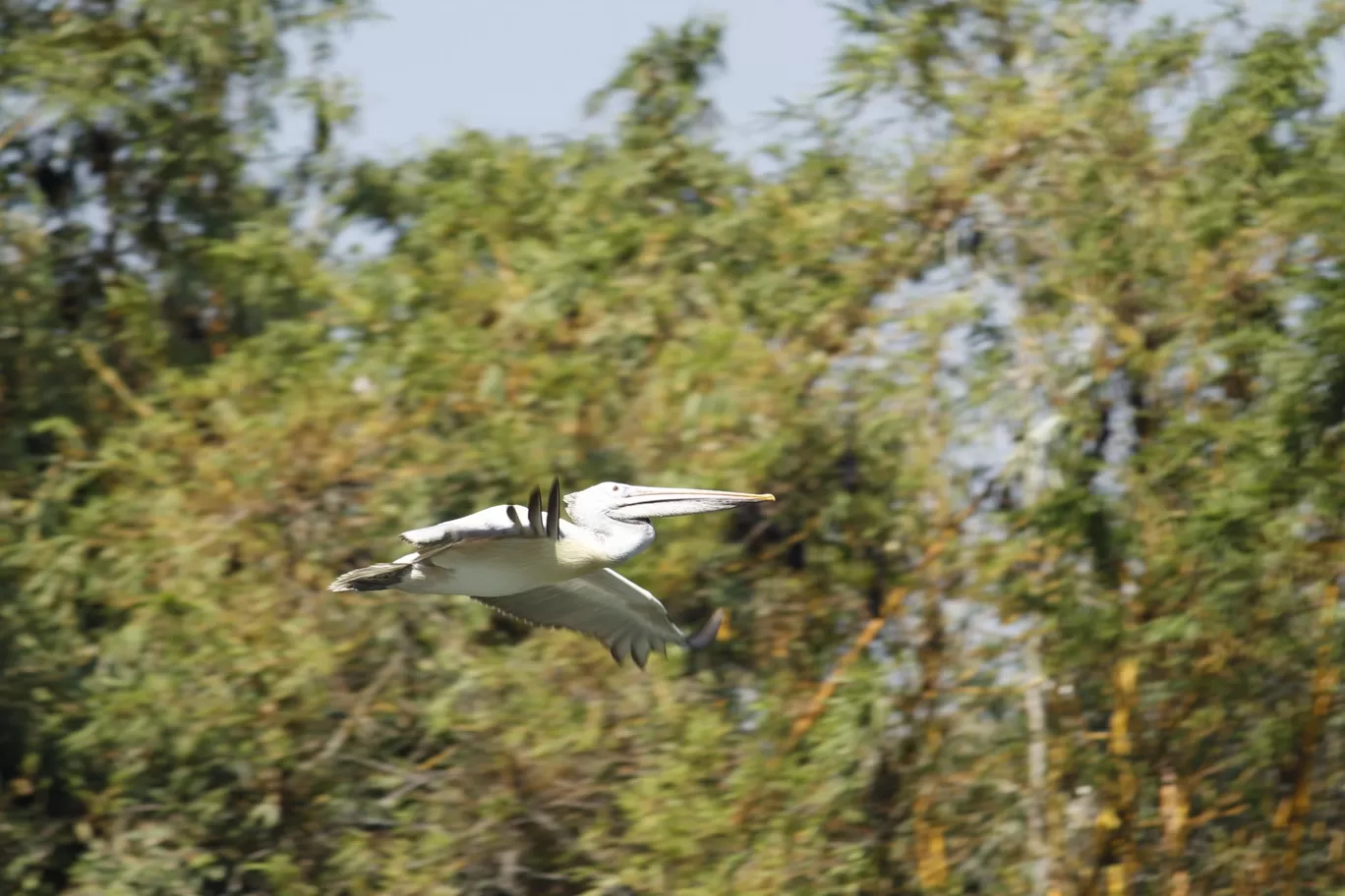 Photo of Nagarhole National Park By Sunit Thakur