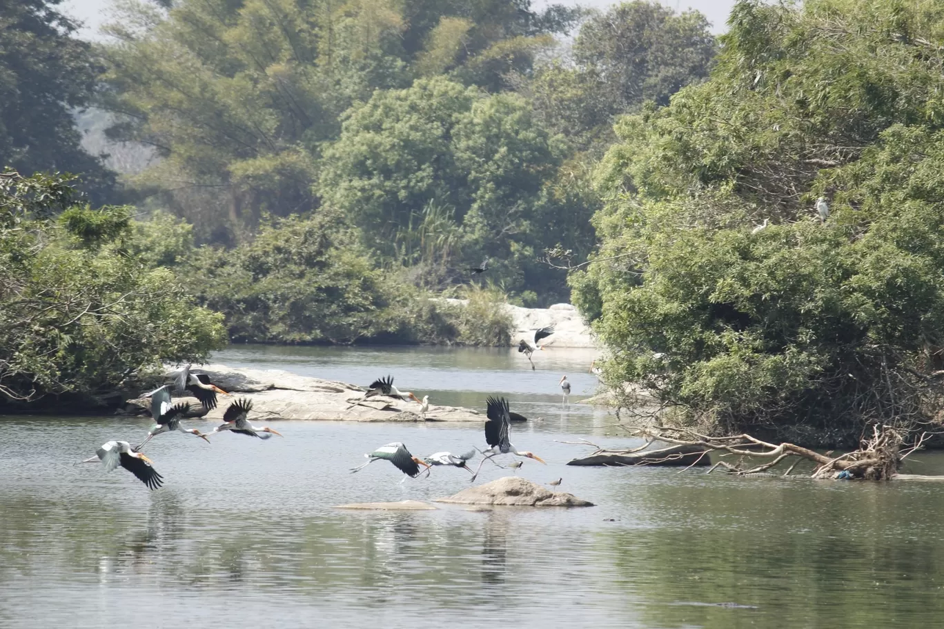 Photo of Nagarhole National Park By Sunit Thakur