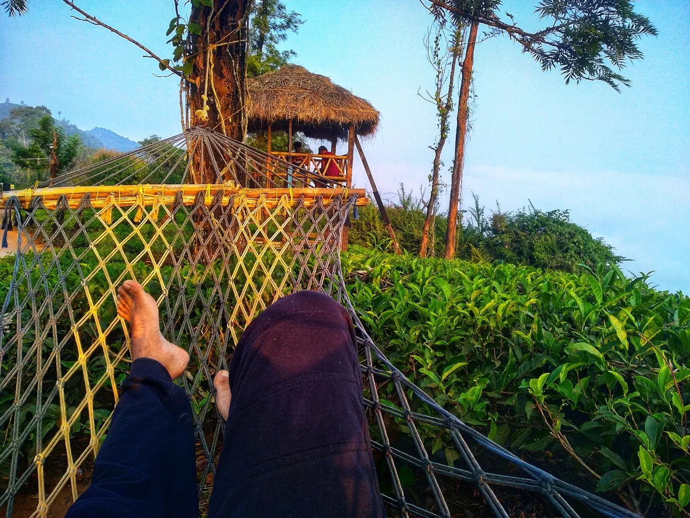 Photo of Wayanad By Nithin Joji Sankoorikkal