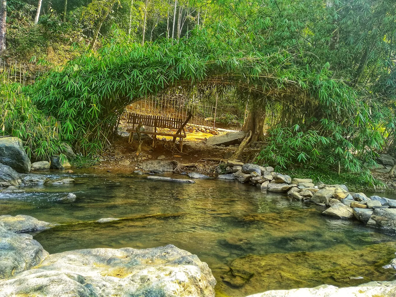 Photo of Wayanad By Nithin Joji Sankoorikkal