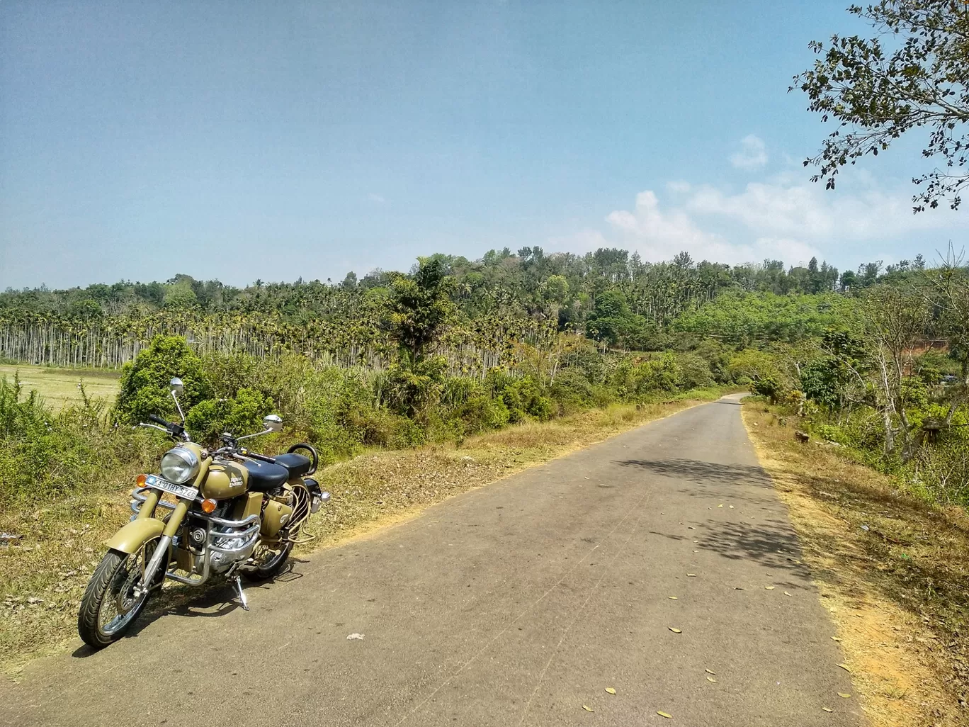 Photo of Wayanad By Nithin Joji Sankoorikkal