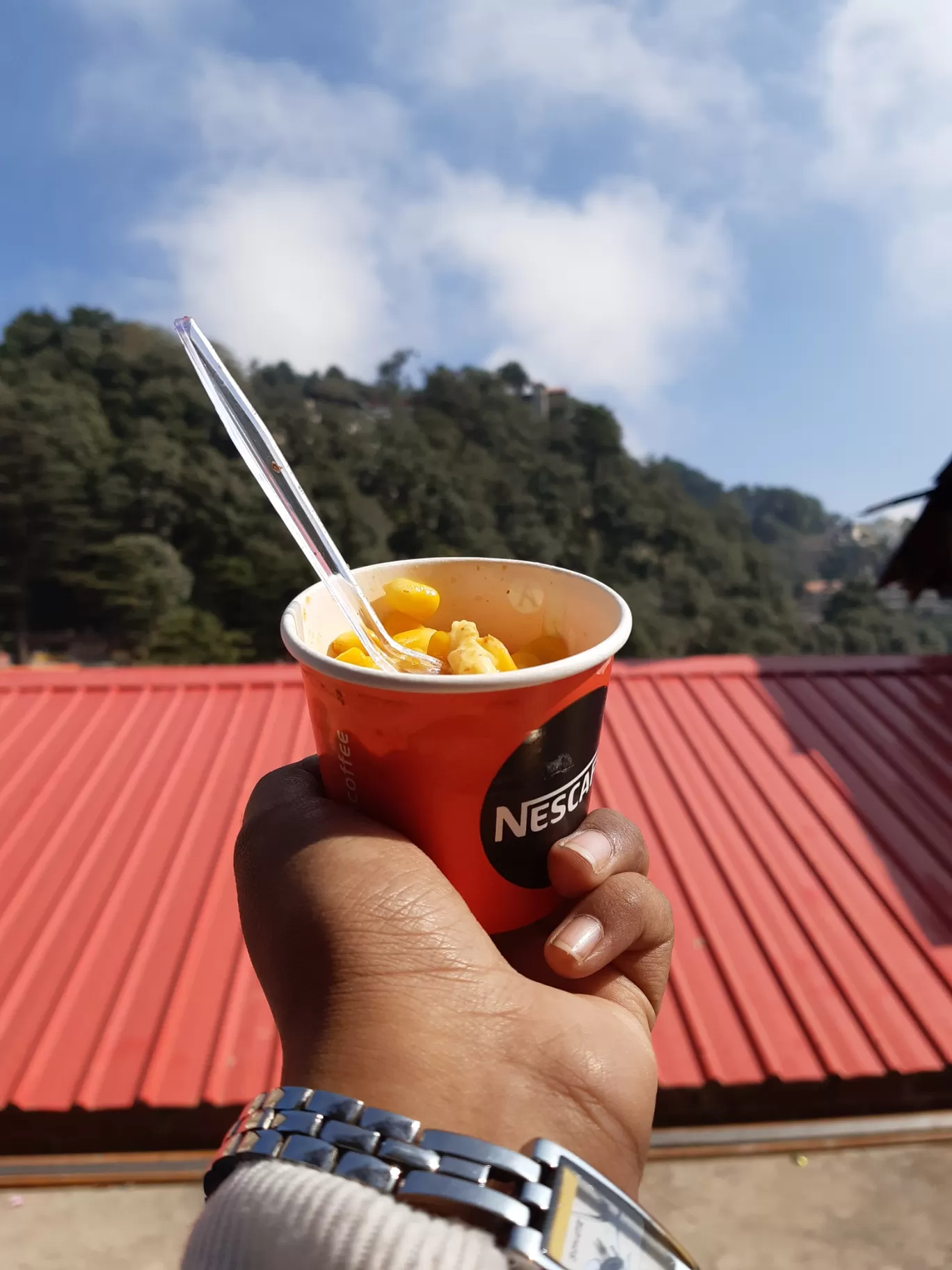 Photo of Dalhousie By devyani joshi
