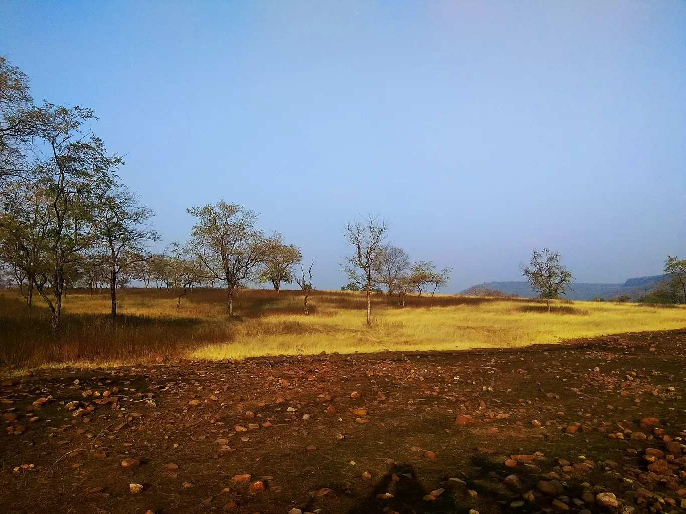 Photo of Madhya Pradesh By Debjani Lahiri
