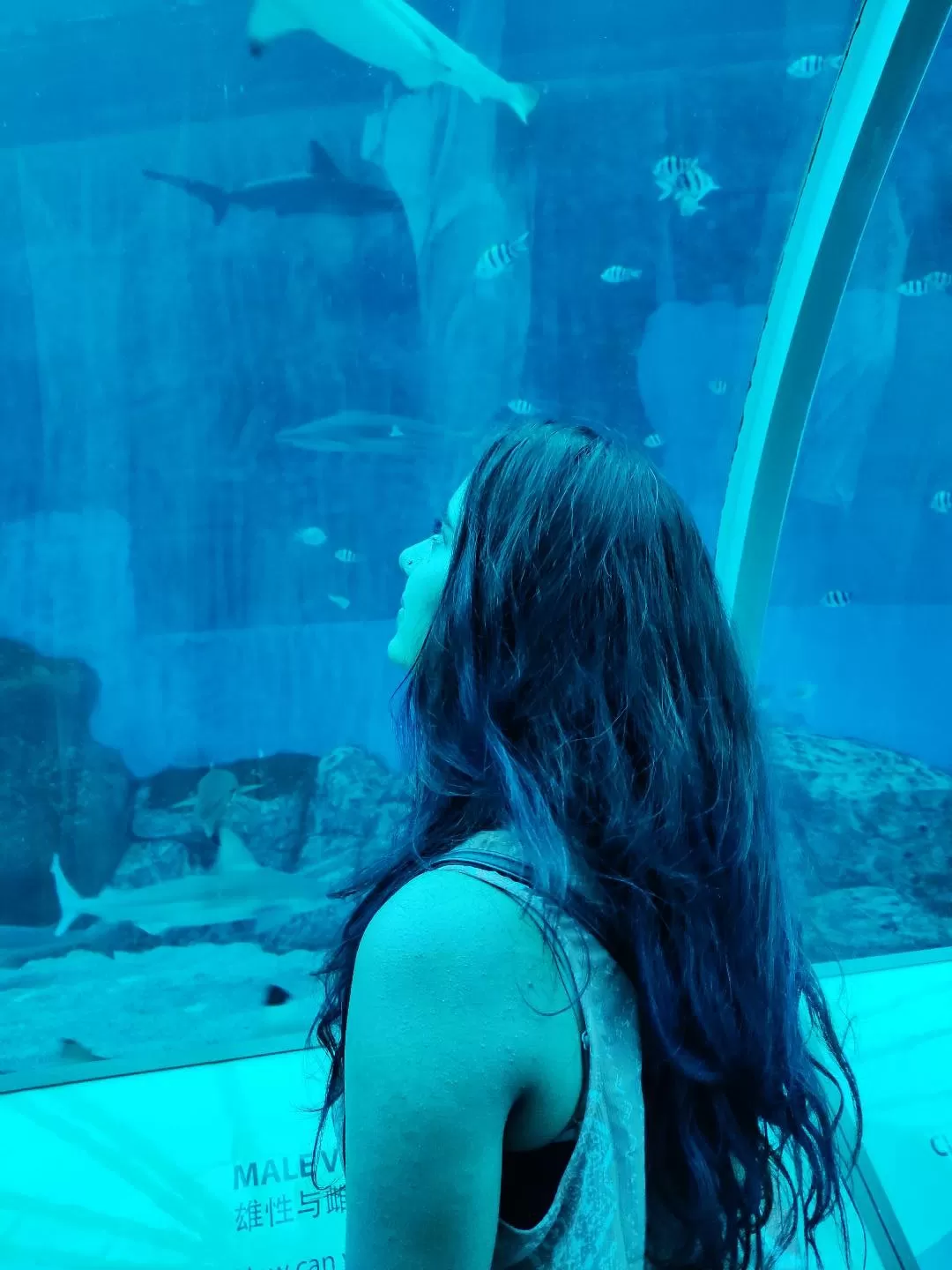 Photo of Aquarium Universal By Sonam Chhabra