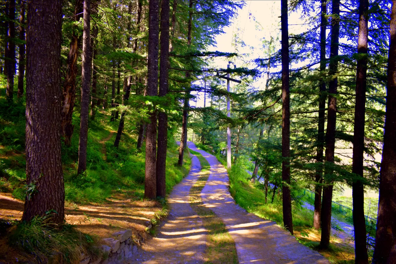 Photo of Narkand By The Himalayan Boy