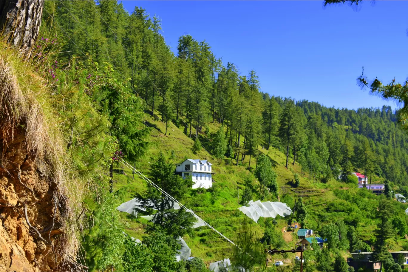 Photo of Narkand By The Himalayan Boy