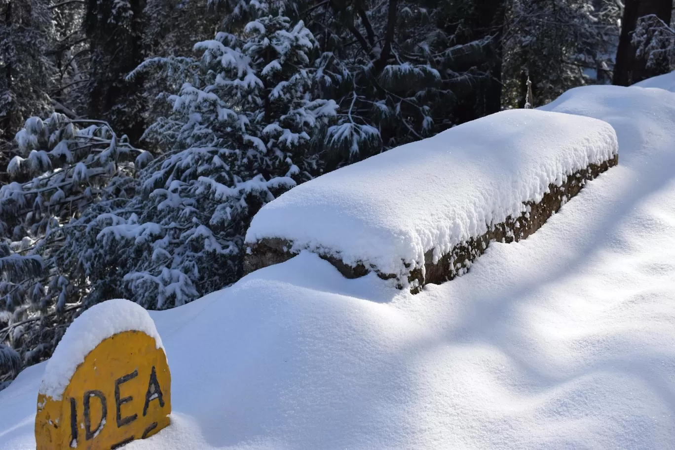 Photo of Manali By The Himalayan Boy
