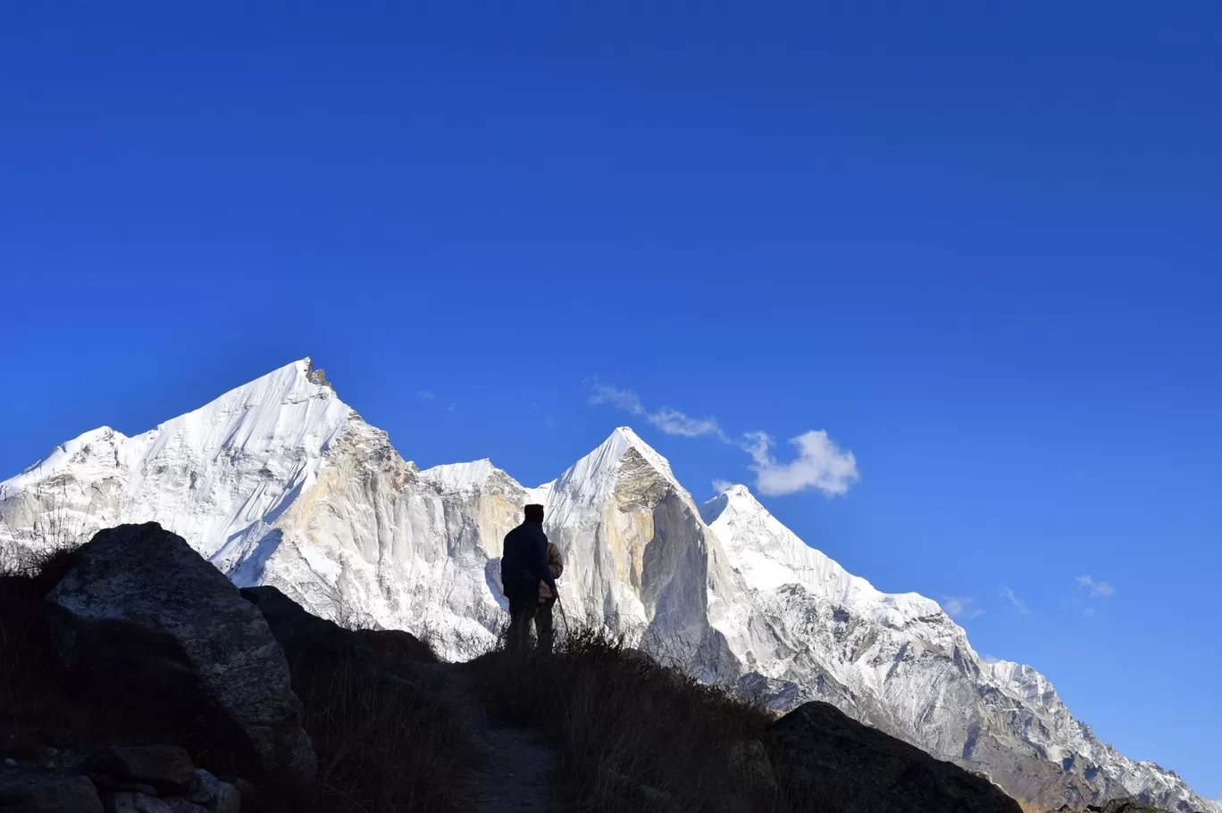 Photo of Manali By The Himalayan Boy