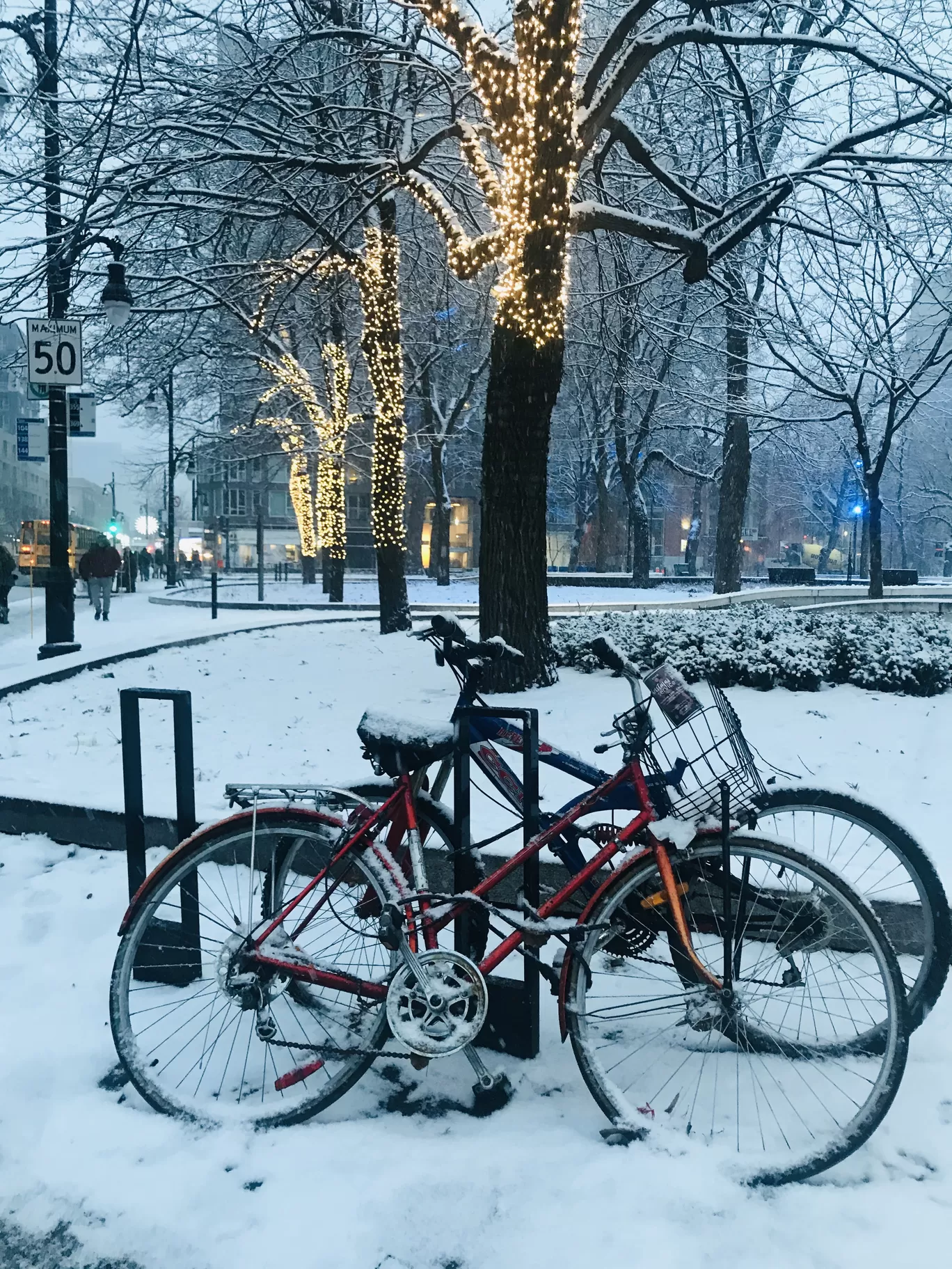 Photo of Montreal By Palakshi Goswami