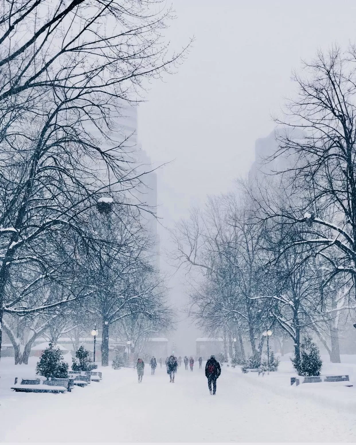 Photo of Montreal By Palakshi Goswami