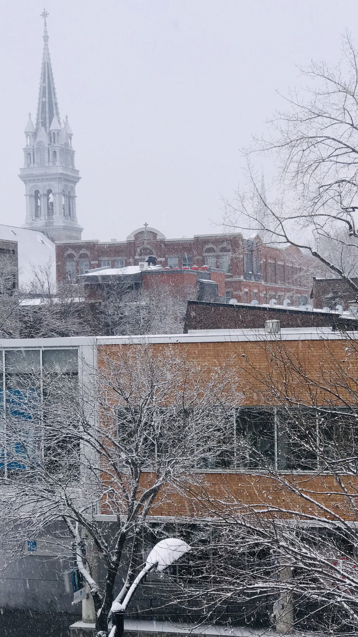 Photo of Montreal By Palakshi Goswami