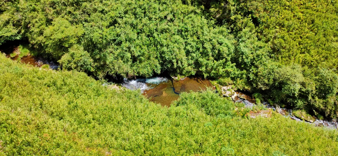Photo of dzükou valley By Jitendra Kshetrimayum